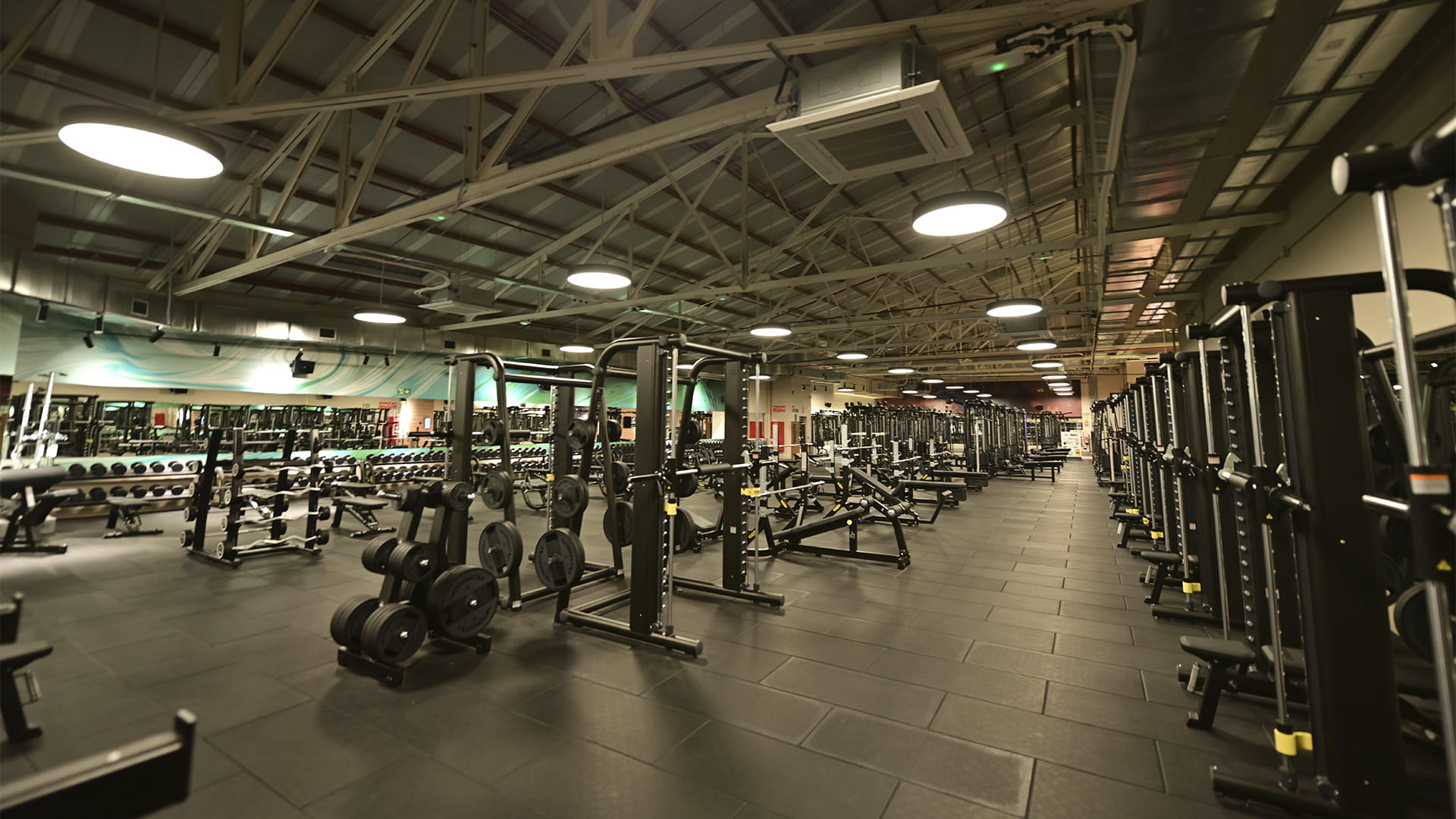 Zona de peso libre y poleas