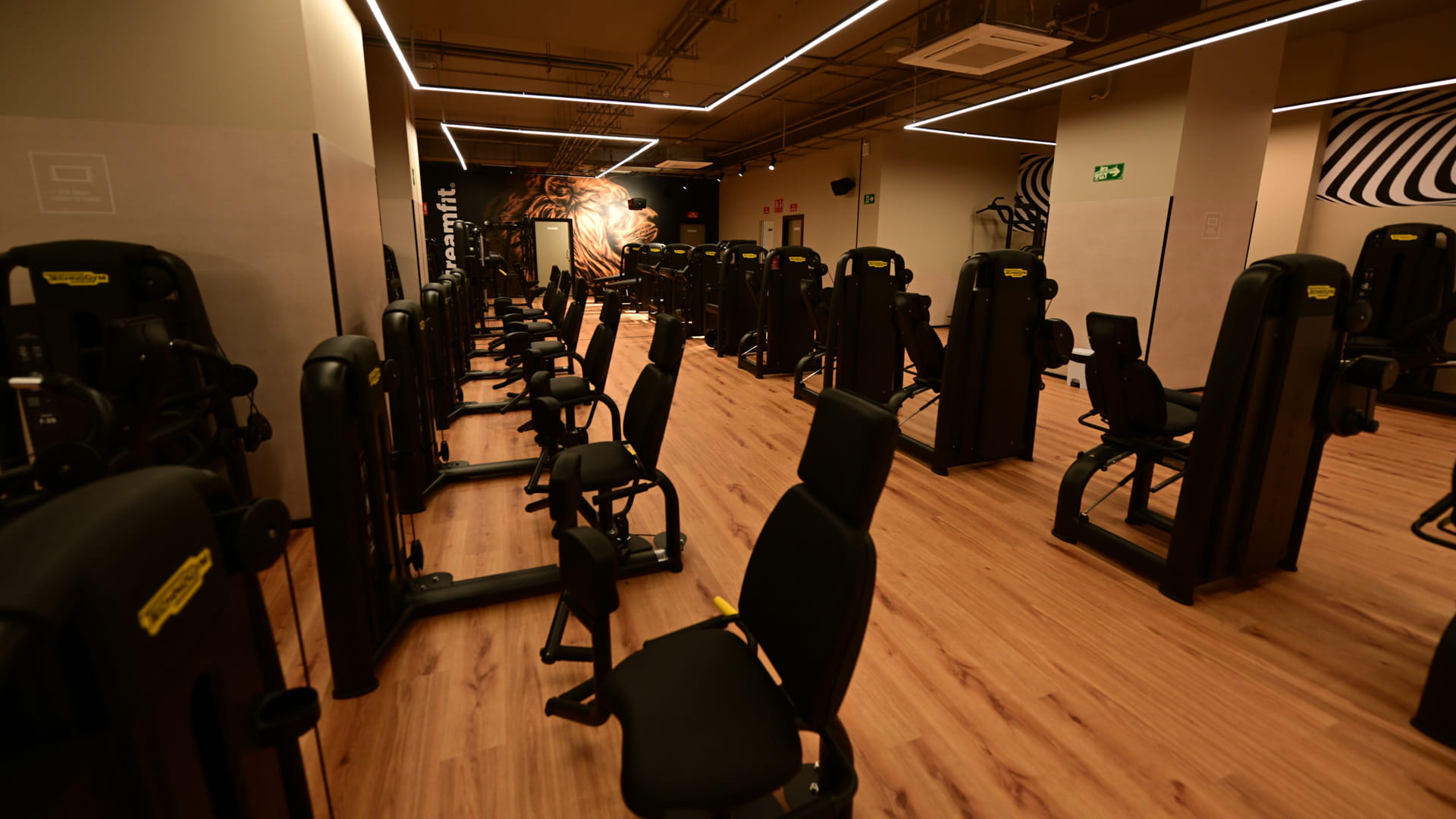Sala fitness