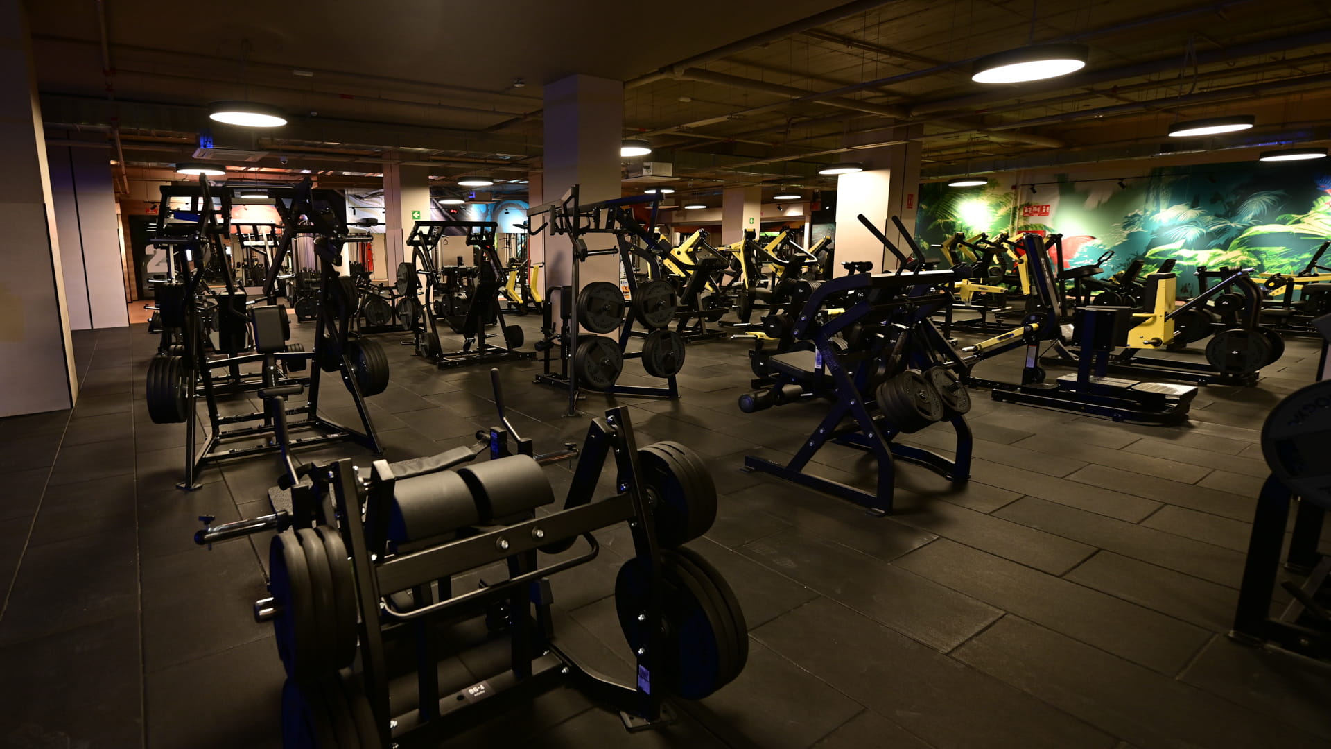 Sala fitness