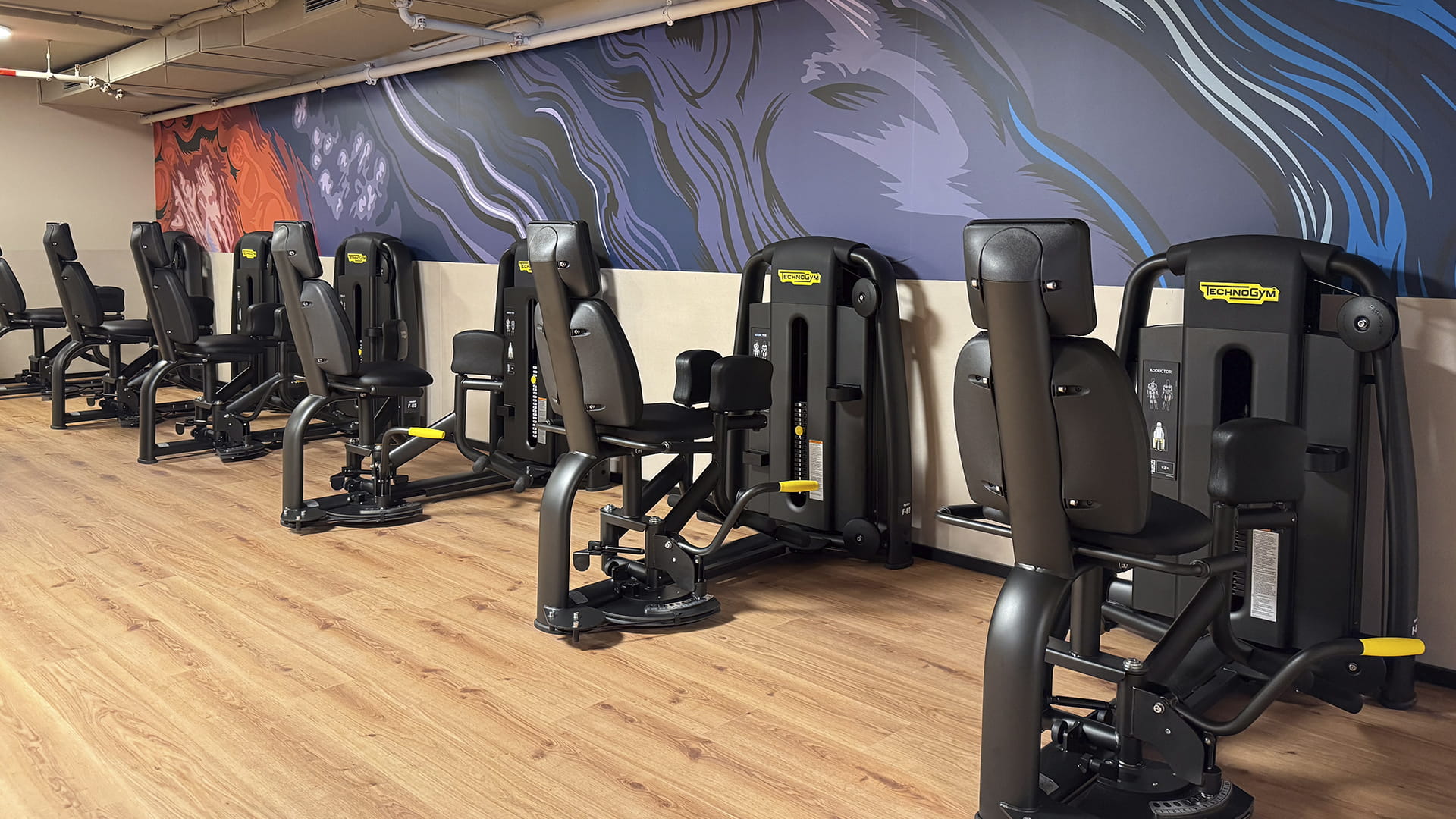 Sala fitness