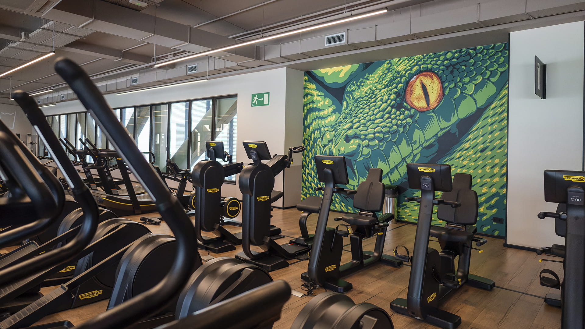 cardio