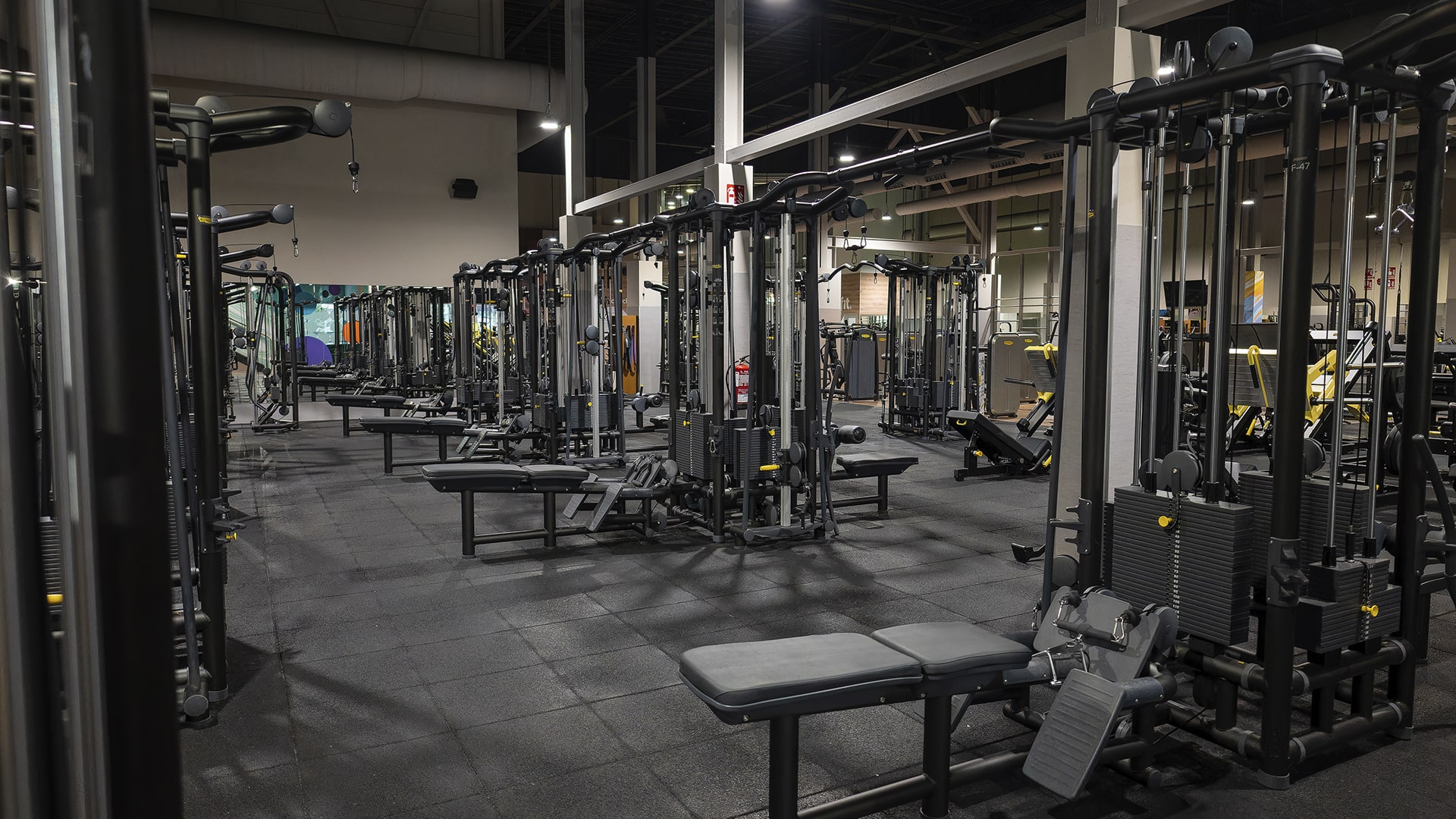 sala fitness
