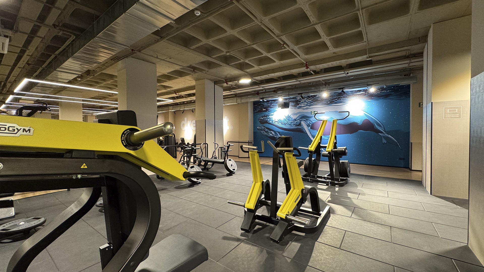 sala fitness