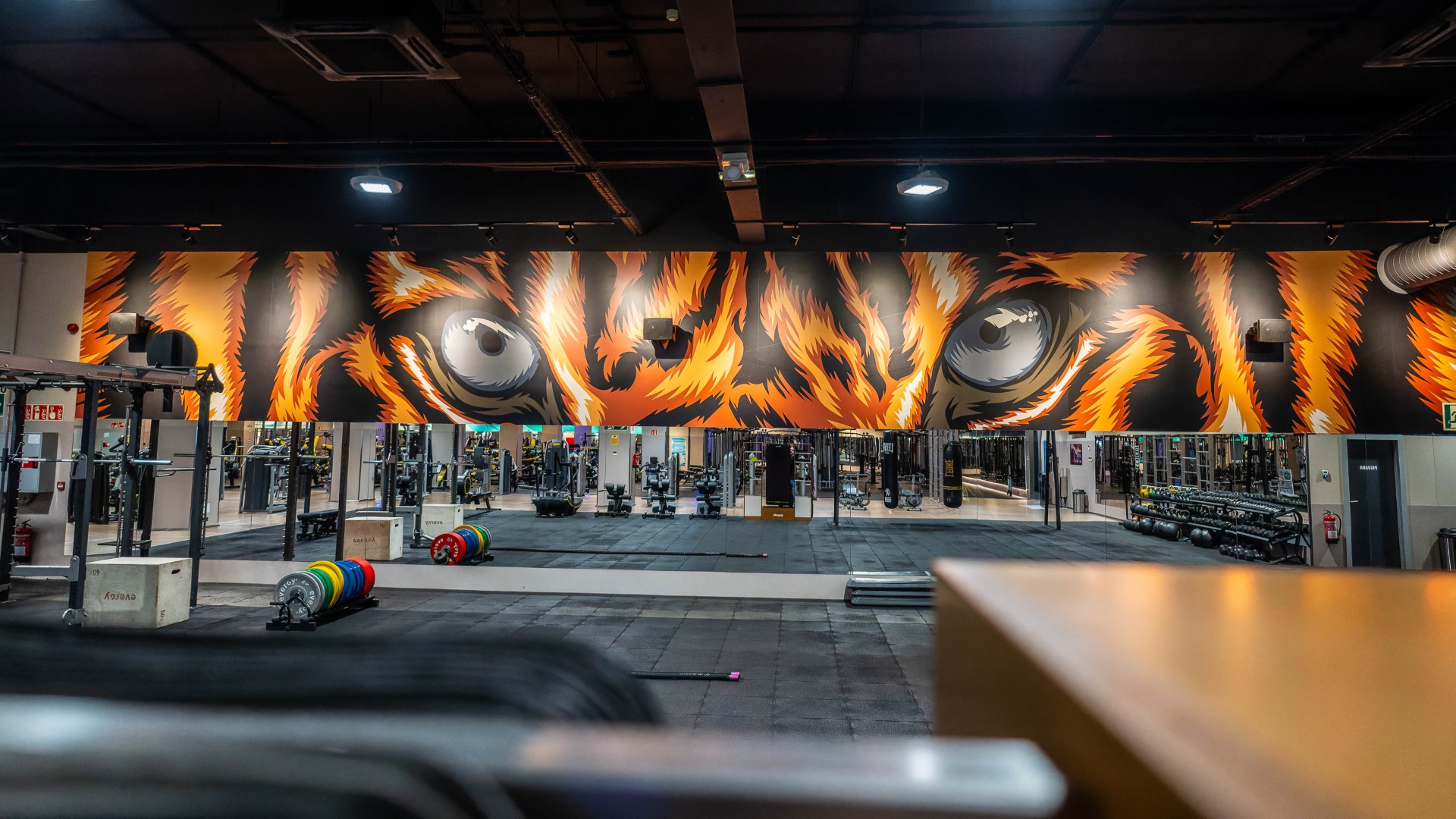 sala fitness