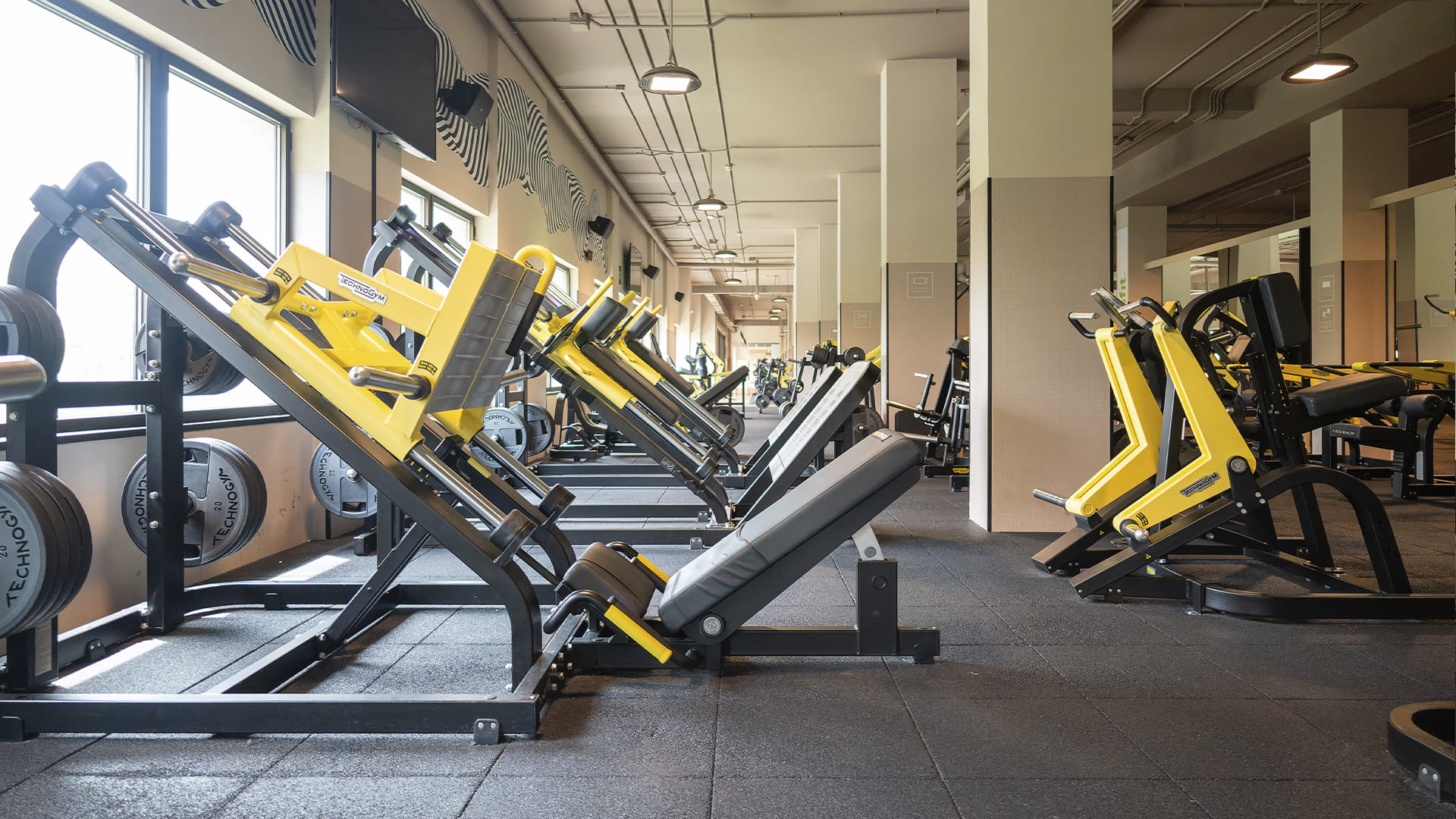 Sala fitness