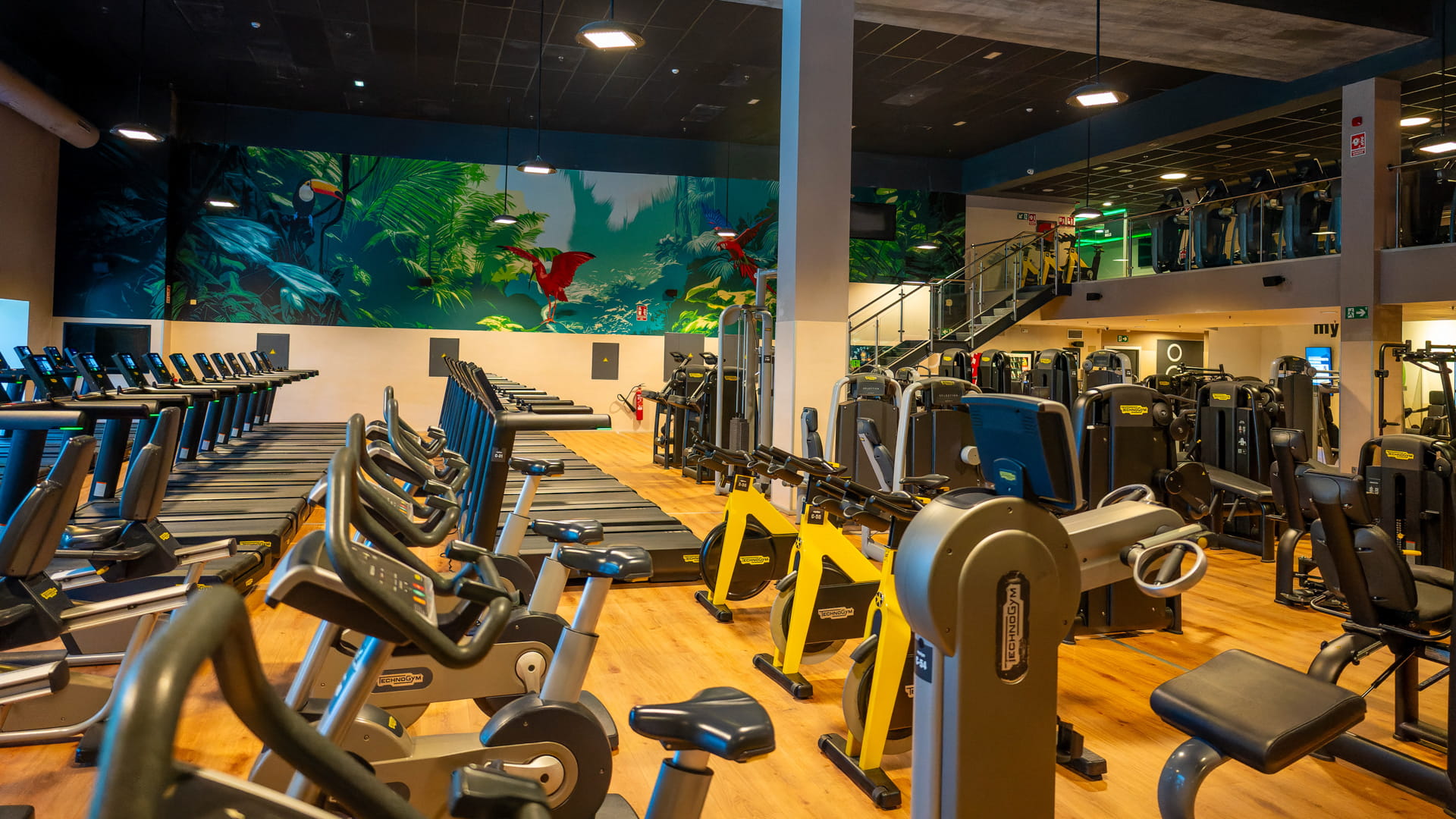 Sala fitness