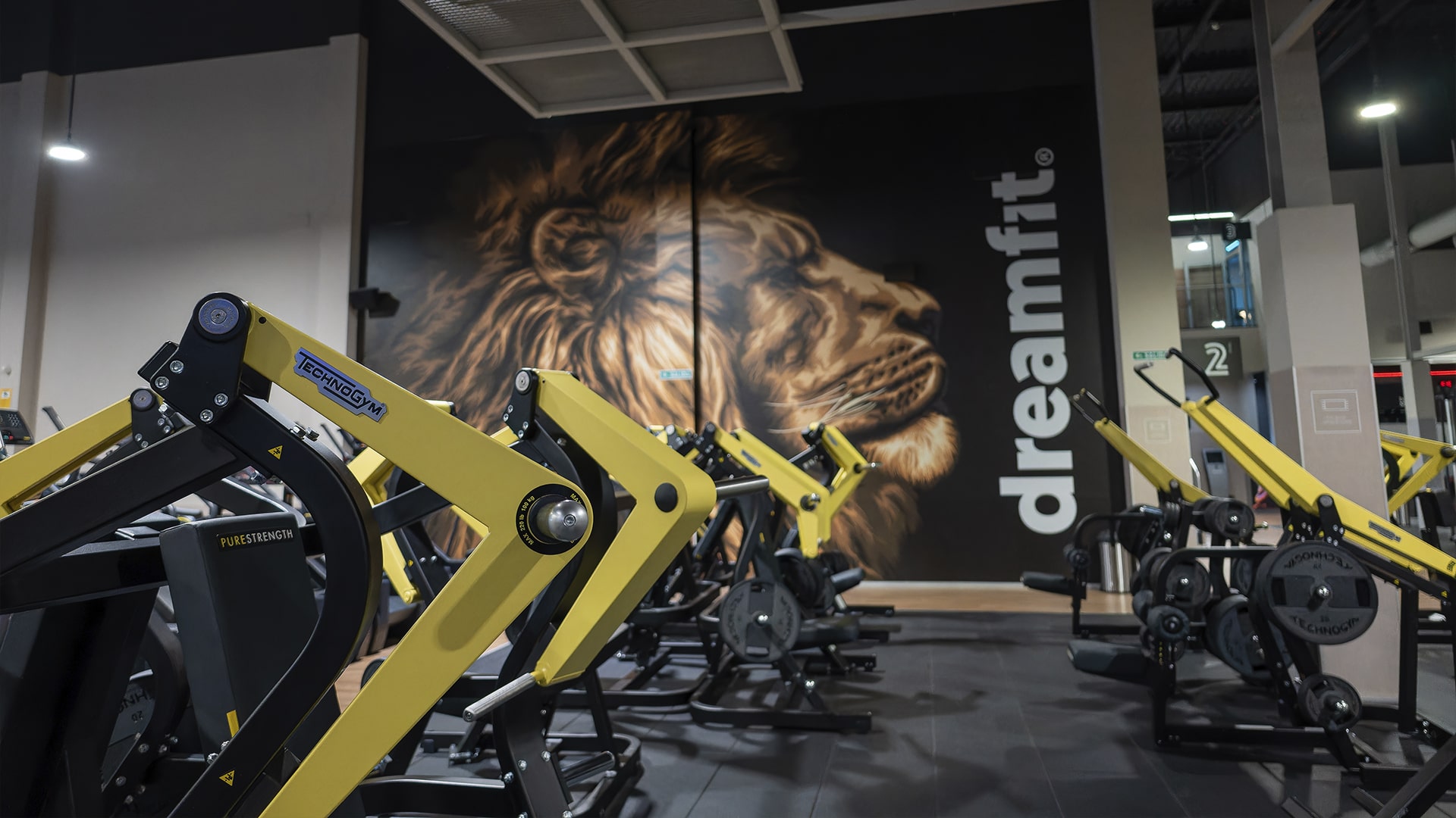 sala fitness