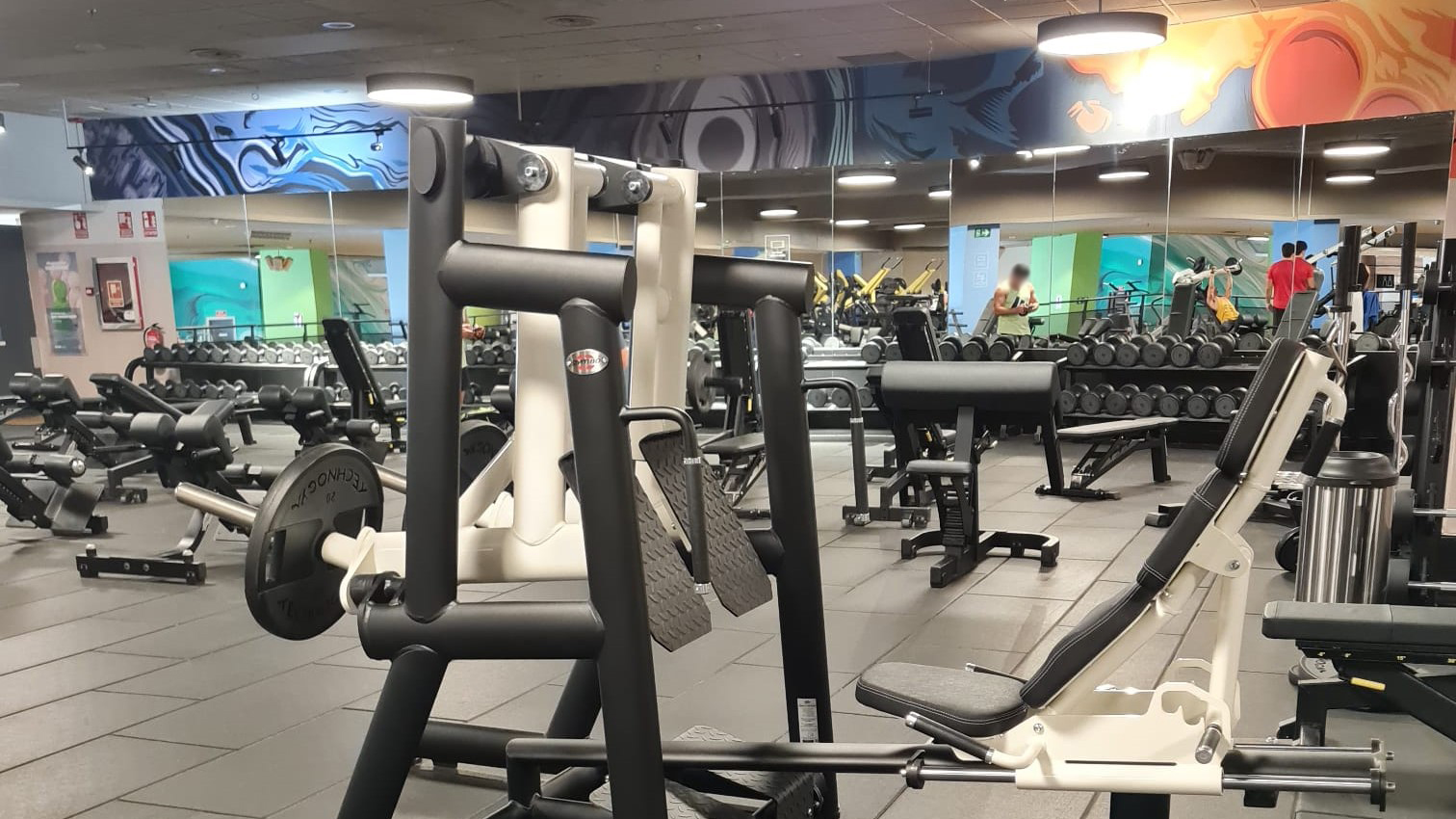 gym80