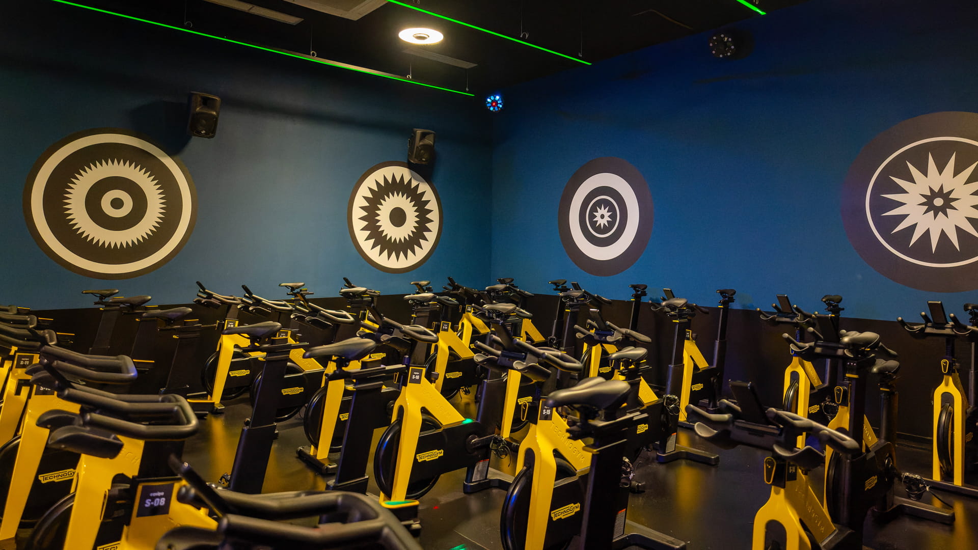 Estudio de ciclo