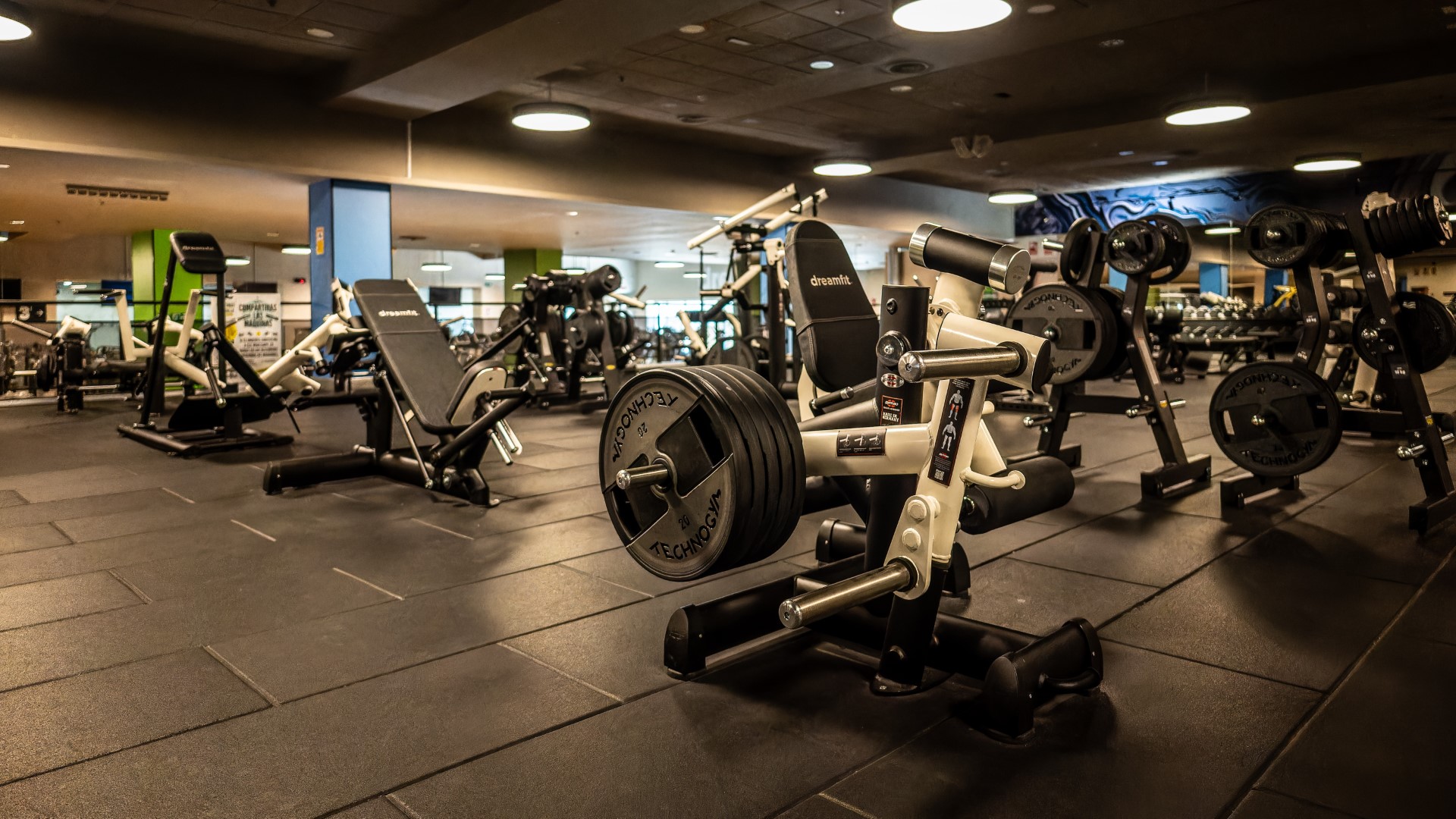 sala fitness