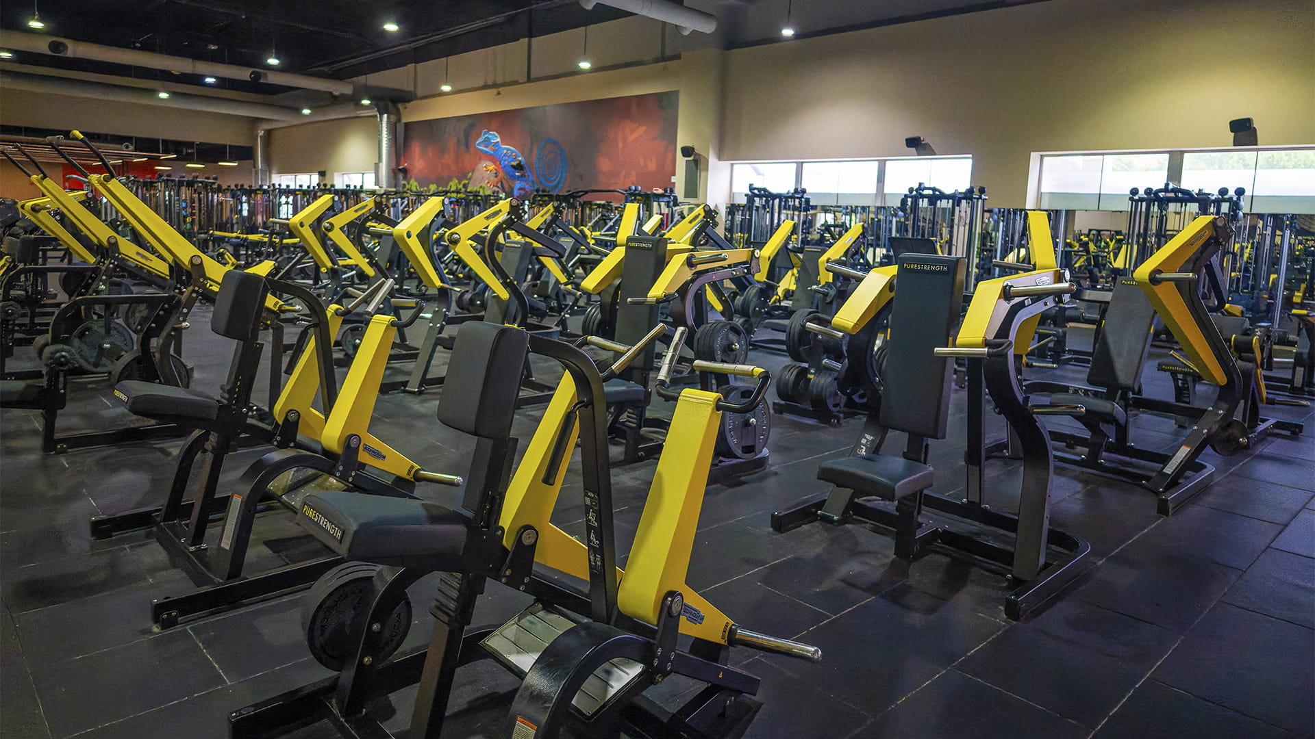 Sala fitness