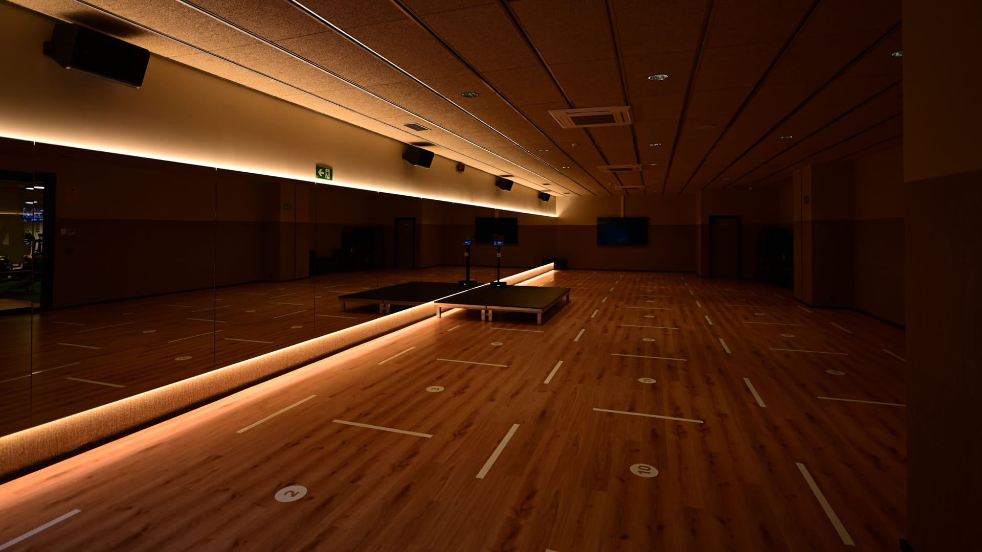 Estudio de actividades dirigidas
