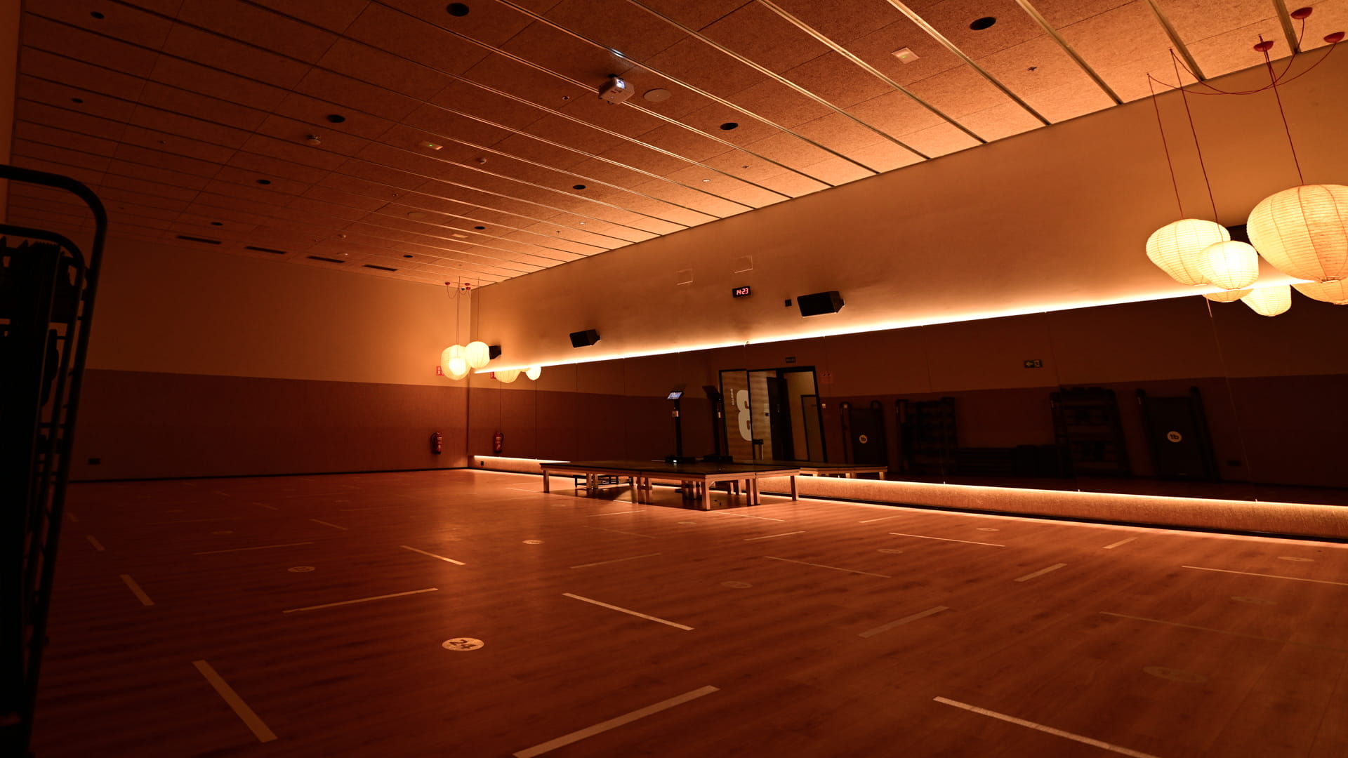 Estudio de actividades dirigidas