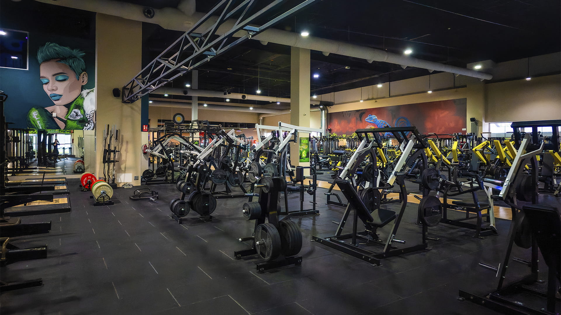 Sala fitness