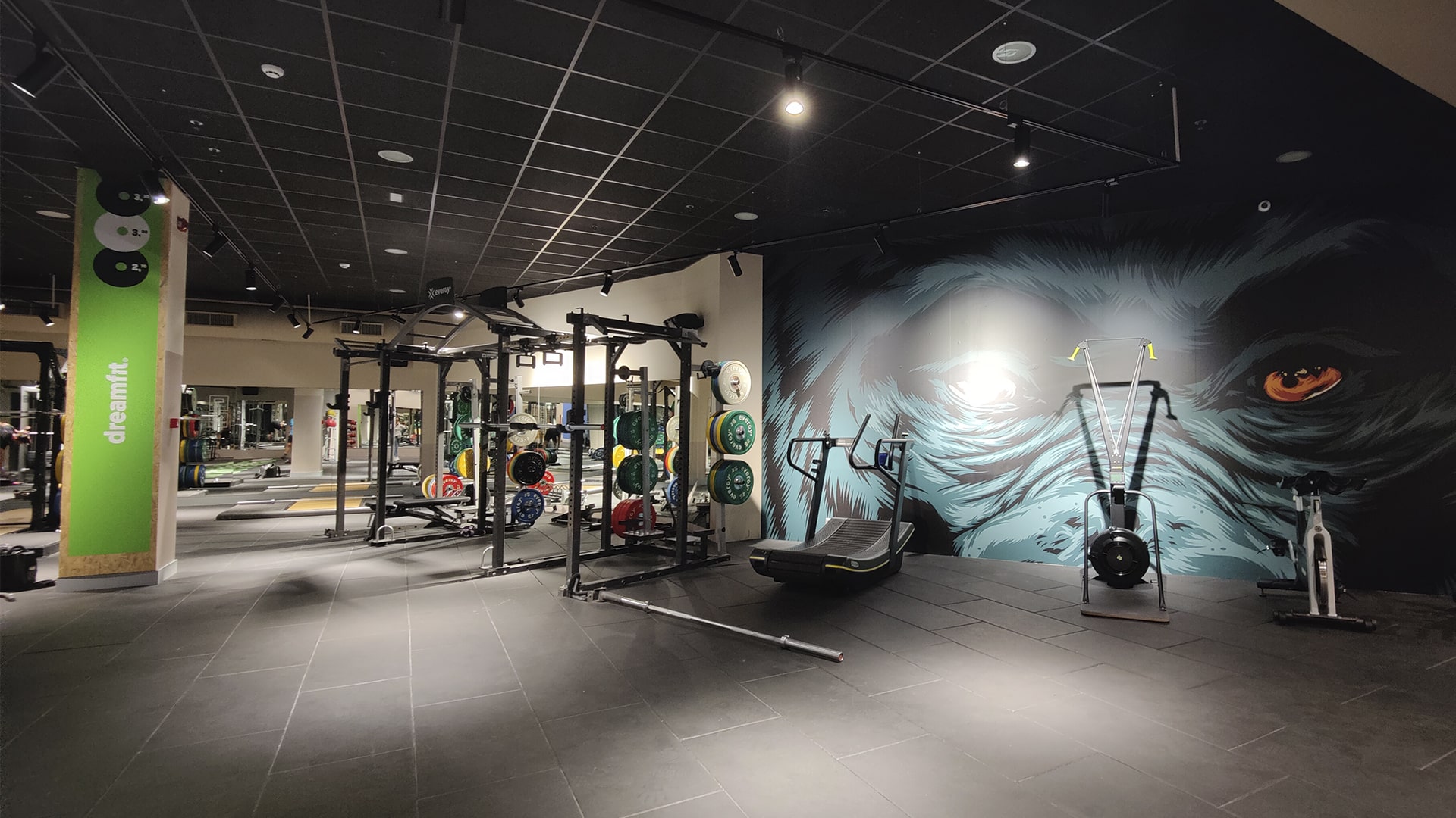 sala fitness