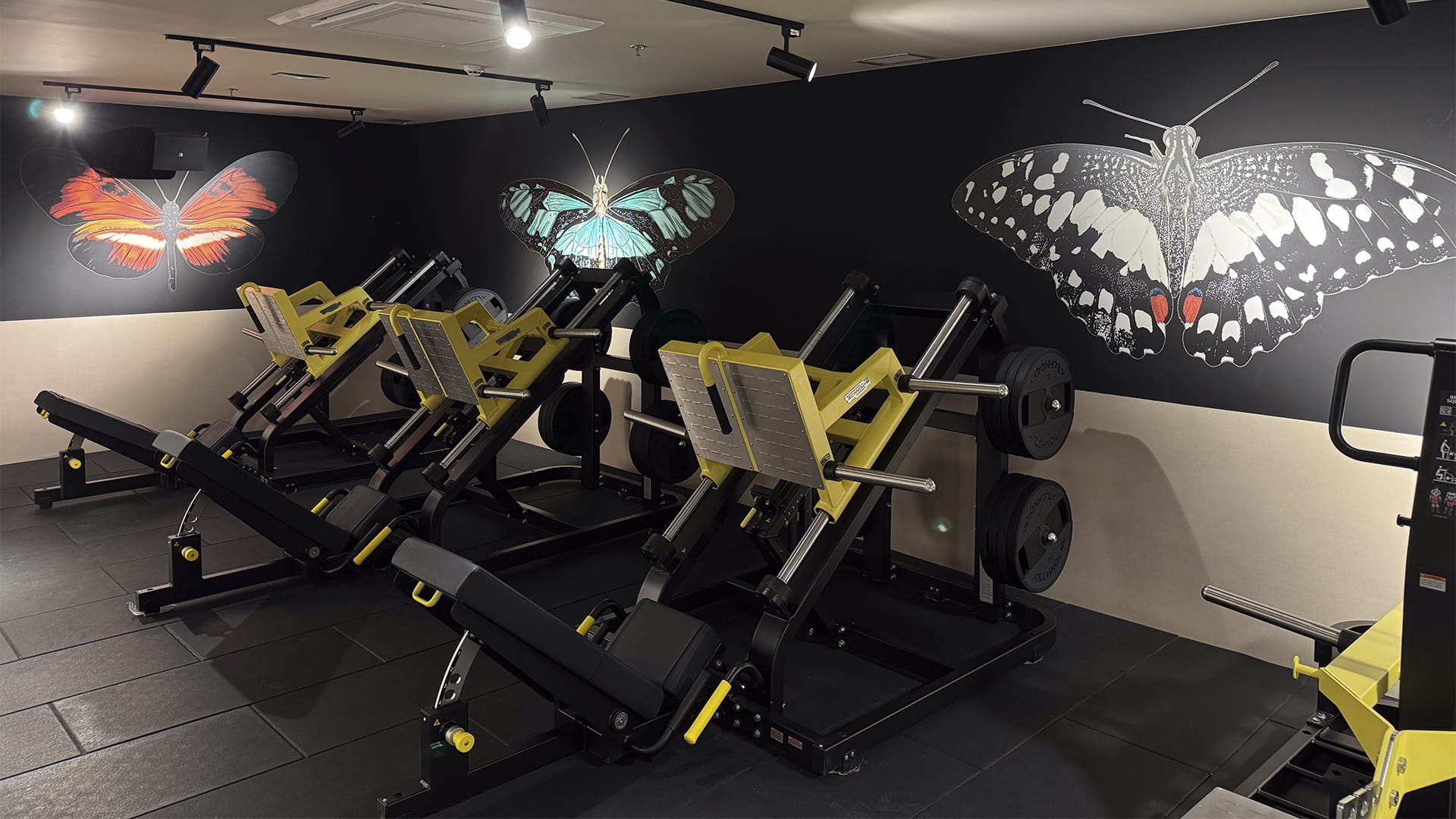 Sala fitness