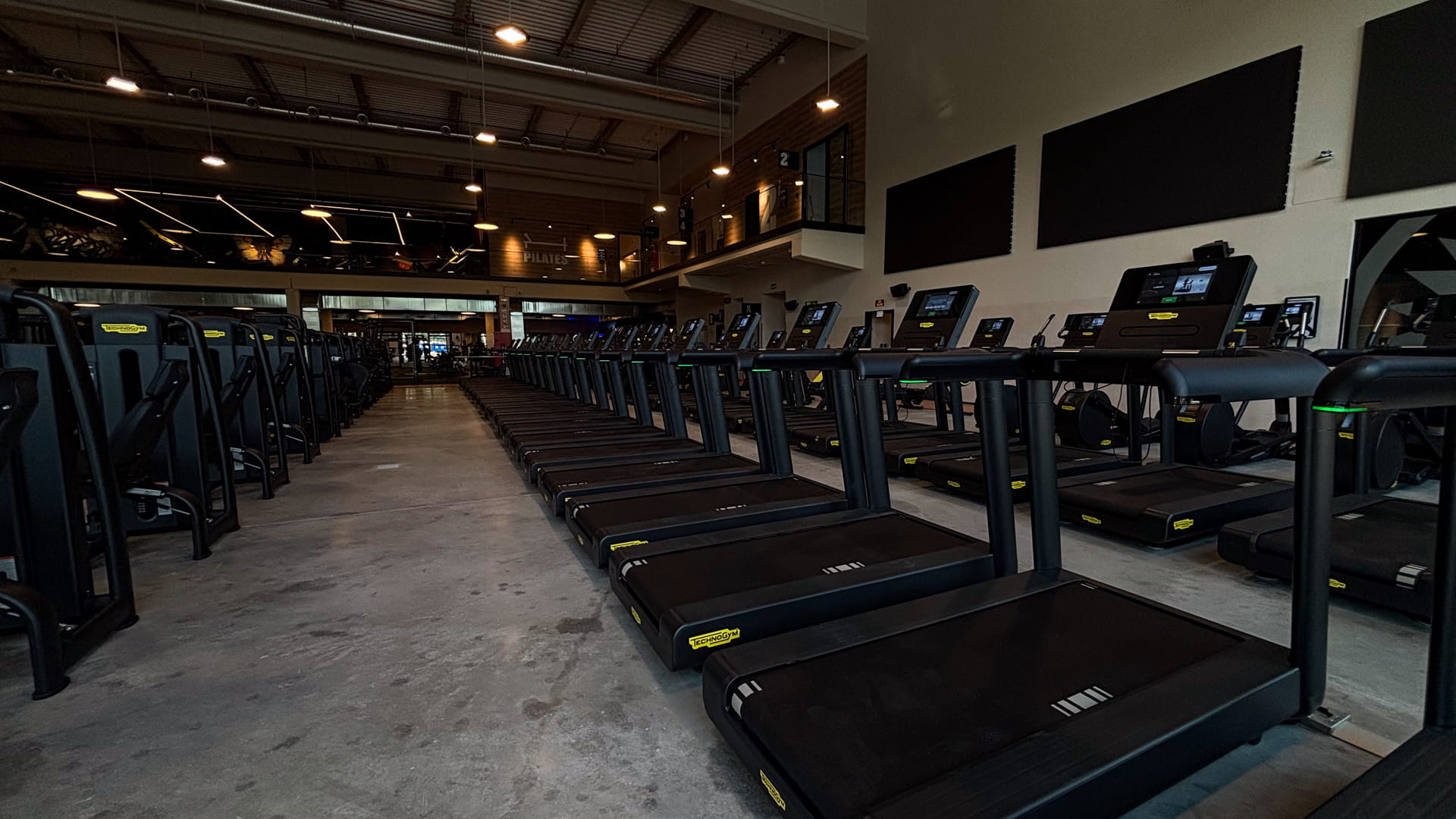 Zona de cardio