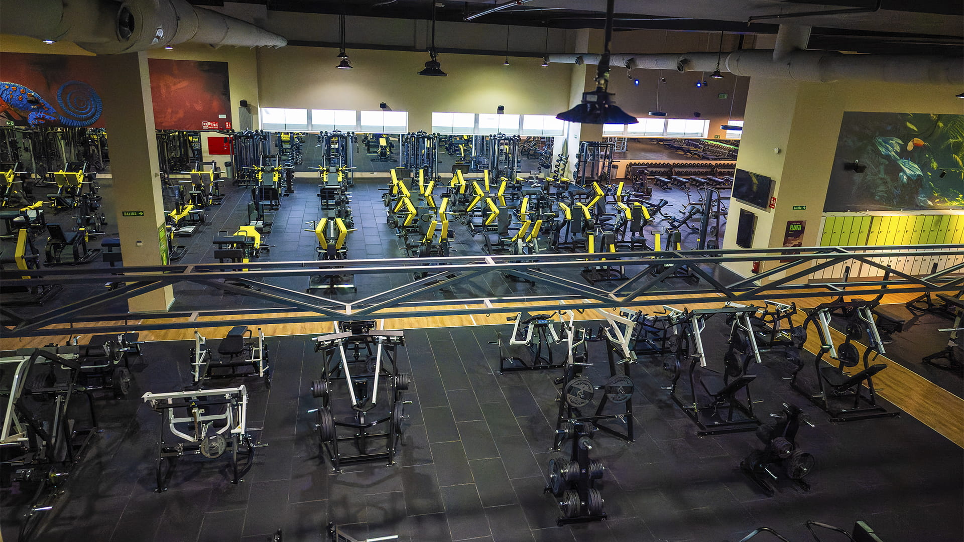 Sala fitness