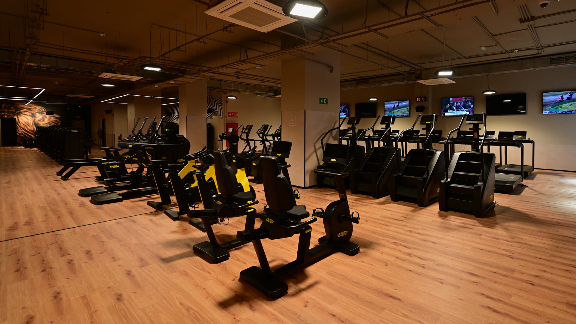 Zona de cardio