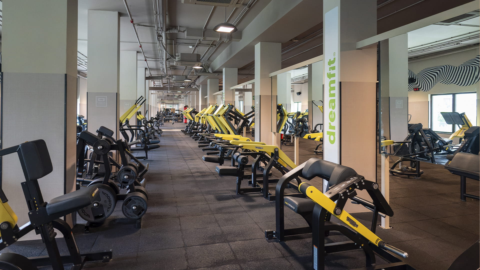 Sala fitness