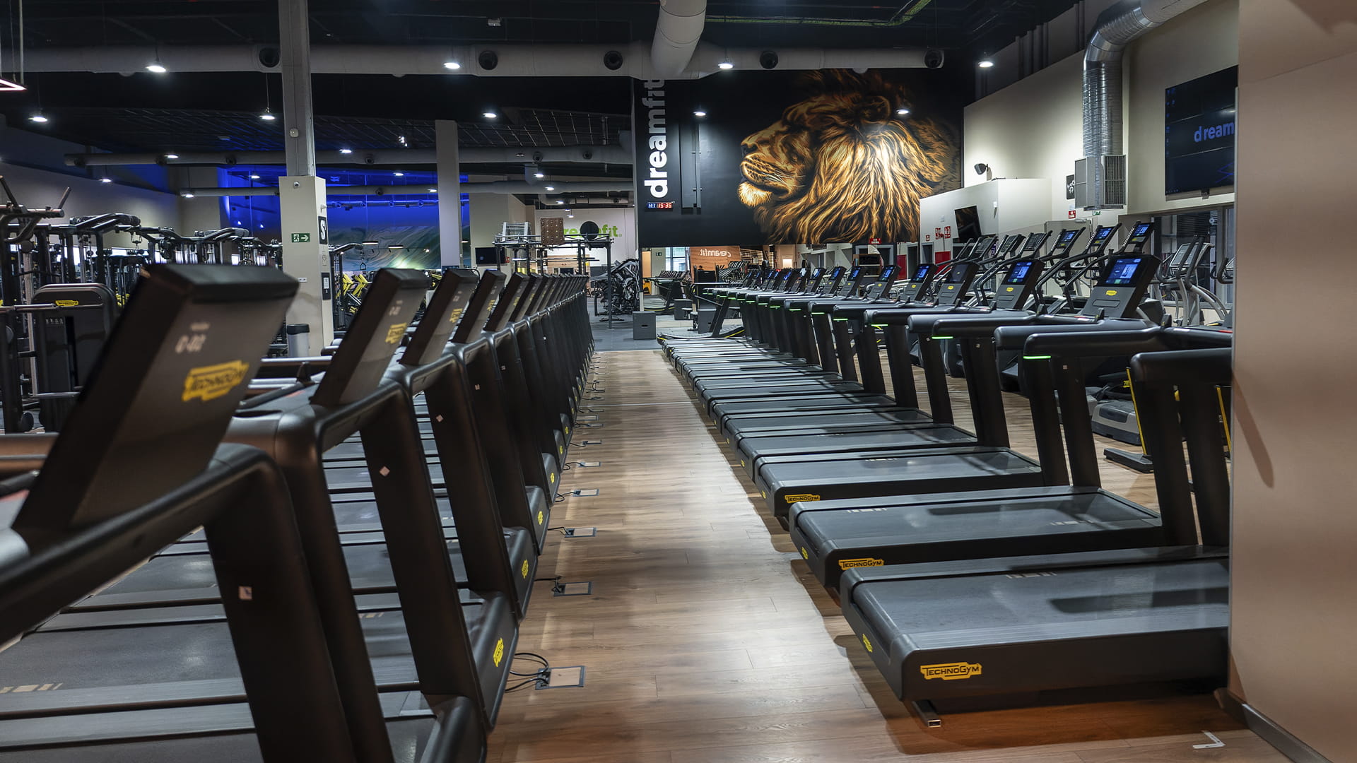 cardio