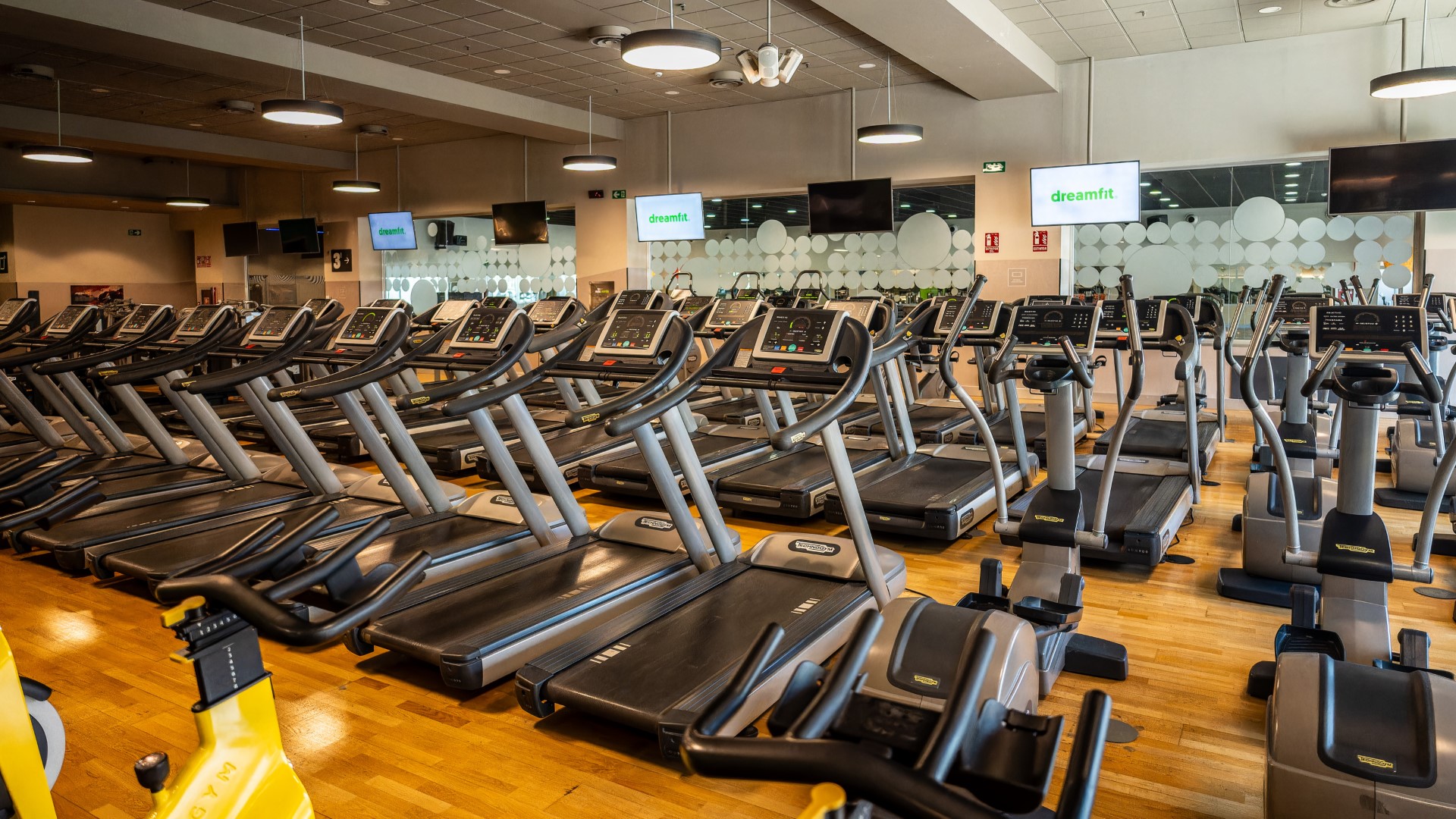 cardio