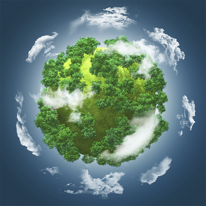 medioambiente
